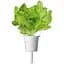 Змінний картридж Click & Grow Smart Garden Зелений салат, 3 капсули (7731) - мініатюра 1