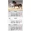 Календар настінний Axent Horses 3 квартальний 2026 рік (8801-26-16-A) - мініатюра 2