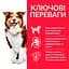 Сухий корм Hill’s SP Mature Adult 7+ Medium Breed для зрілих собак середніх порід від 7 років з куркою 14 кг - мініатюра 3