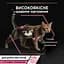 Вологий корм для котів Purina Pro Plan Delicate Digestion з чутливим травленням 85 г (12457641) - мініатюра 5