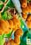 Саджанець Agro-Market Ківі Хейворд (найвідоміший і розповсюджений у світі сорт) 1 шт. в упаковці (23606) - мініатюра 2