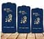 Захисне скло DK Full Glue ESD Anti-Dust для Apple iPhone 13 Pro Max 013635 black - мініатюра 3