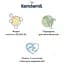 Суха молочна антиколікова суміш Kendamil Comfort, 0-12 міс., 800 г (92000057) - мініатюра 2