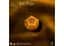 Набор кубиков Harry Potter. Gryffindor Modern Dice Set - Gold , 7 шт. (190142/2023/1/B) - миниатюра 5