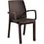 Стілець садовий пластиковий Bica Verona armchair коричневий - мініатюра 1