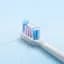 Электрическая зубная щетка MiJia Sonic Electric Toothbrush T501 Bhr6382cn White - миниатюра 2