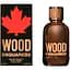 Туалетна вода для чоловіків Dsquared2 Wood Pour Homme 100 мл - мініатюра 1