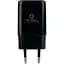 Мережевий зарядний пристрій Ridea RW-11311 Element Fast Charging USB - Lightning 2.1 A Black - мініатюра 1