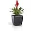 Вазон Plastkon Quadrato Flower Lover с системой автополива 22x22x21 см глянцевый антрацит - миниатюра 3