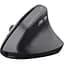 Мишка Trust Bayo 2 Ergonomic Wireless/USB-A Black (25145) - мініатюра 2