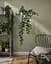 Штучний горщик ІКЕА 9 см - мініатюра 2