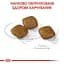 Сухой корм для собак малых пород, чувствительных к изменениям среды Royal Canin Mini Relax Care, 3 кг (1224030) - миниатюра 5