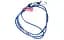 Ремінці для закріплення багажу Poputchik Elastic Strap 2 шт. x 200 см 8 мм - мініатюра 2