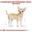 Влажный корм Royal Canin Chihuahua Adult для собак породы Чихуахуа 85 г (2041001) - миниатюра 3