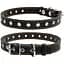 Нашийник для собак Collar безрозмірний (4820082491727) - мініатюра 1