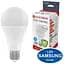 Лампочка Electrum A80 18W PA LS-33 Elegant E27 6500K (A-LS-1453) - мініатюра 1