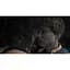 Гра Death Stranding 2: On The Beach для PS5 (RU) (1000048509) [138879] - мініатюра 5