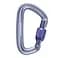 Карабін Black Diamond LiteForge Screwgate Carabiner Сірий - мініатюра 1