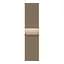 Смарт-часы Apple Watch Series 7 GPS + Cellular 41mm Gold Stainless Steel with Gold Milanese Loop [MKHH3] [62618] - миниатюра 3