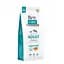 Сухой корм Brit Care Dog Grain-free Adult для собак малых и средних пород, беззерновой с лососем, 12 кг - миниатюра 1