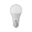 Лампочка Horoz А60 PREMIER SMD LED 15W 4200K E27 1400Lm (YT32454) - мініатюра 1