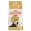 Сухий корм для персидських котів з м'ясом Royal Canin Persian Adult, 2 кг (2552020) - мініатюра 1