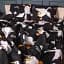 Підковдра MirSon Бязь 17-0692 Welcome Back 200х220 см (2200010454734) - мініатюра 2