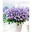 Луковица Agro-Market Кампанула цветущая Isophylla Blue (178712) 1 шт. - миниатюра 4