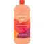 Идеальный шампунь для окрашенных волос Inebrya Color Perfect Shampoo 1 л - миниатюра 1