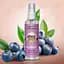 Духи-спрей для собак Pet Aroma Blueberry 120 мл (PA01) - миниатюра 2