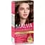 Стійка крем-фарба для волосся Malva Color Revive відтінок 141 Шоколад - мініатюра 1