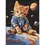 Алмазна мозаїка Зоряний котик AMO8167, 30x40 см - мініатюра 1