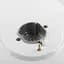 Варочная поверхность Minola MGM 614204 газовая - миниатюра 8