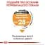 Сухой корм для собак малых пород с тусклой и сухой шерстью Royal Canin Mini Coat Care, 1 кг (1220010) - миниатюра 4