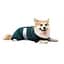 Комбінезон Pet Fashion Den для собак L коргі - мініатюра 2