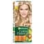 Фарба для волосся Garnier Color Naturals відтінок 9.1 сонячний пляж 110 мл (C4431326) - мініатюра 1