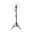 Стойка-тринога для Baseus Live Stream Holder-floor Stand CRZB12-B01-2 Black - мініатюра 2