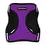 Шлея для собак Bronzedog Sport Vest XXS 15х13х3 см фіолетова - мініатюра 3