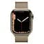 Смарт-часы Apple Watch Series 7 GPS + Cellular 41mm Gold Stainless Steel with Gold Milanese Loop [MKHH3] [62618] - миниатюра 2