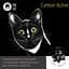 Fun Cat Carbon Active наполнитель для кошачьих туалетов с активированным углем сильнодействующий 5 л - миниатюра 2