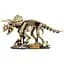 Конструктор LEGO Jurassic World Скамʼянілості динозаврів: трицератопс (77985) - мініатюра 2