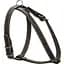 Шлея для собак Collar одинарна, шкіра, для міні порід, 40-48х43-51х1,4 см, чорний (6341) - мініатюра 1