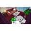 Ключ активації Microsoft Cozy Designer для Xbox One/Series S/X - мініатюра 2