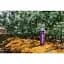 Термос Tramp Expedition Line 0.75 л Purple (UTRC-031-purple) - мініатюра 4