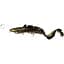 Силикон Savage Gear 3D Line Thru Burbot FS 360 мм 216.0g Black Gold UV (поштучно) - миниатюра 1
