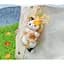Колекційна іграшка з кільцем 10/10 Toys Bobocat серія Golden Fruit blind box (QWJG402) - мініатюра 8