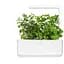 Змінний картридж Click & Grow Smart Garden М'ята, 3 капсули (7397) - мініатюра 5
