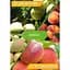 Минеральное удобрение Agro-x Biohyper extra Биохайпер Экстра для плодовых и ягодных 100 г (47232) - миниатюра 3
