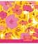 Набір зошитів Yes Floral explosion А5 в клітинку 18 аркушів 10 шт. (765183) - мініатюра 3