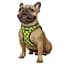 Шлея для собак Bronzedog Sport Vest Поп Арт S 20х16х3 см жовта - мініатюра 3
